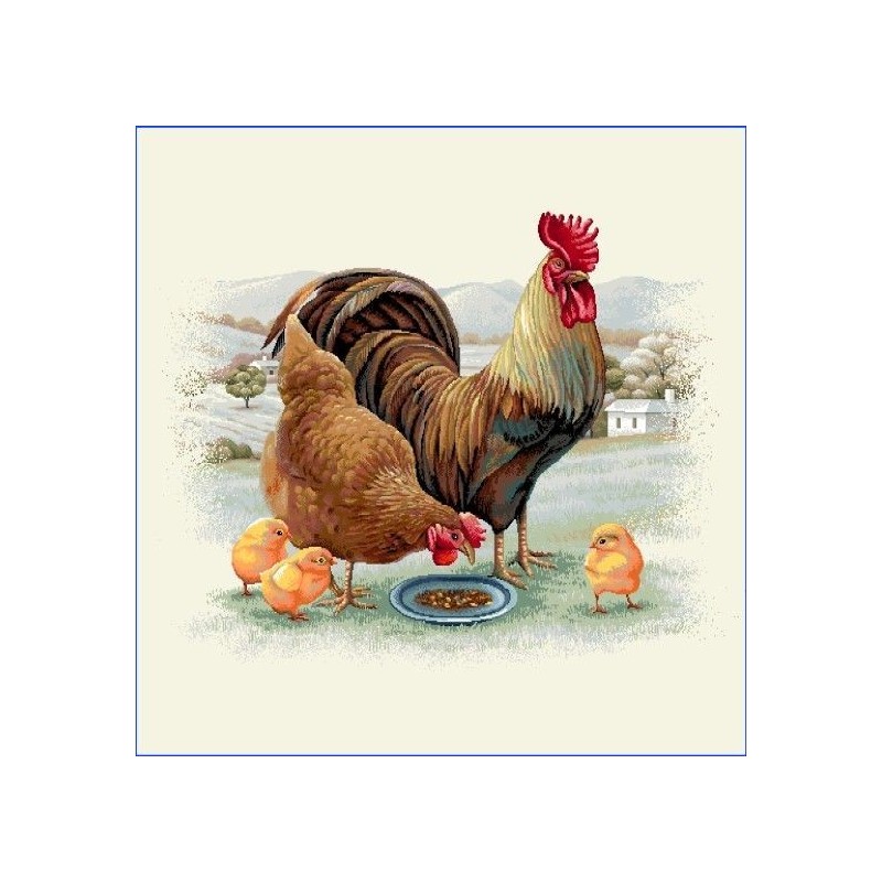 Carré -Coq et poule