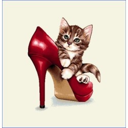 Carré - Chaton et  chaussure