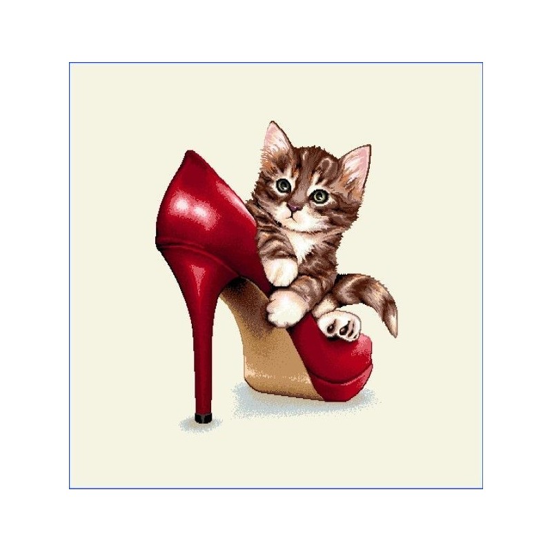 Carré - Chaton et  chaussure