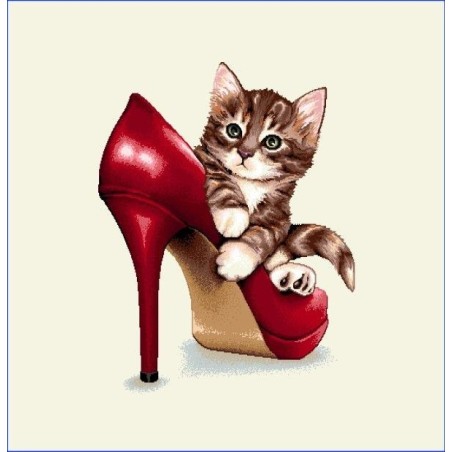 Carré - Chaton et  chaussure