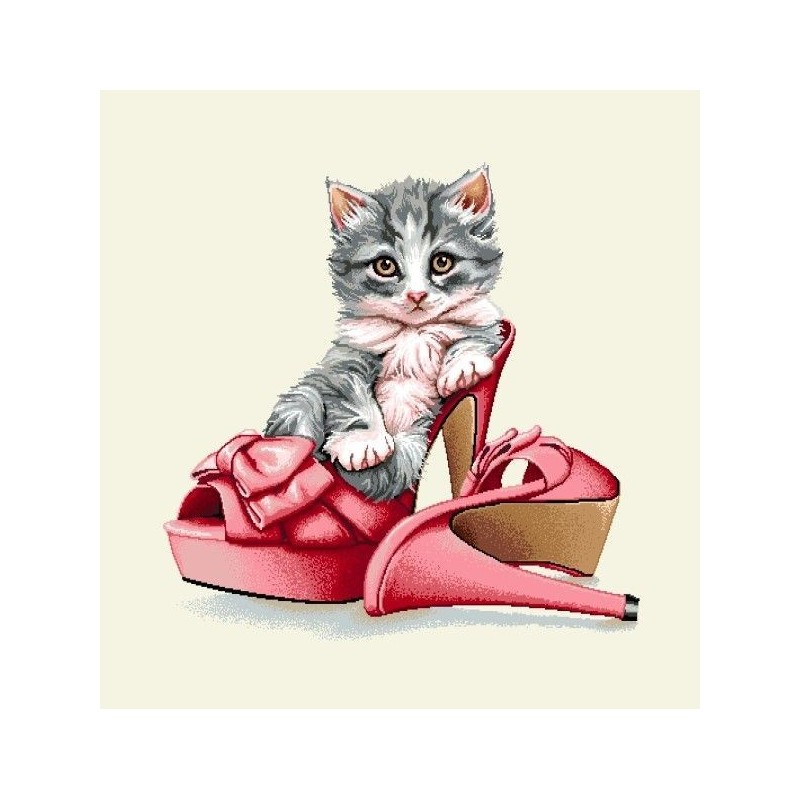 Carré - Chaton et  paire de chaussure