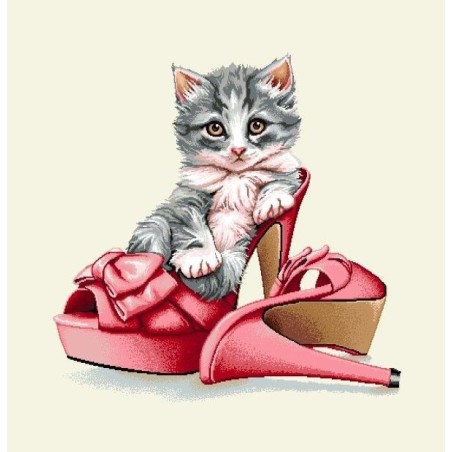 Carré - Chaton et  paire de chaussure