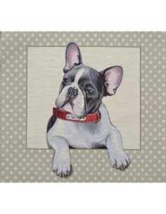 carré, jacquard, coussin, sac, animaux, chien, bouledogue