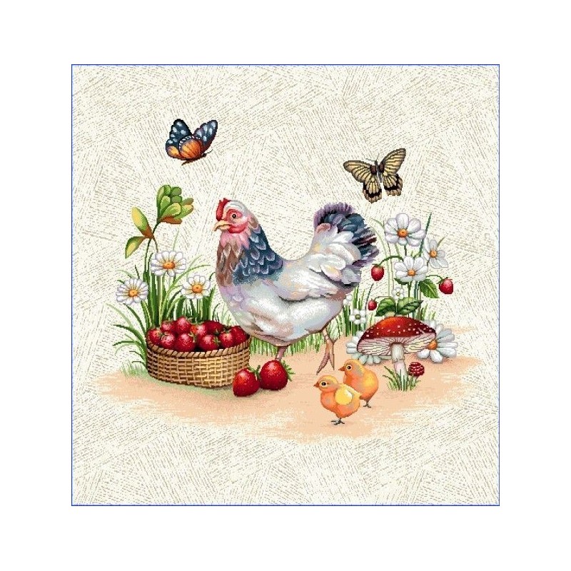 Carré -Poule jardin