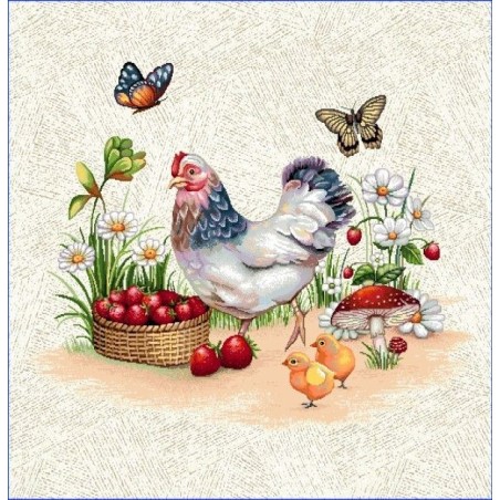 Carré -Poule jardin