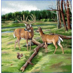 Carré -Cerf et biche