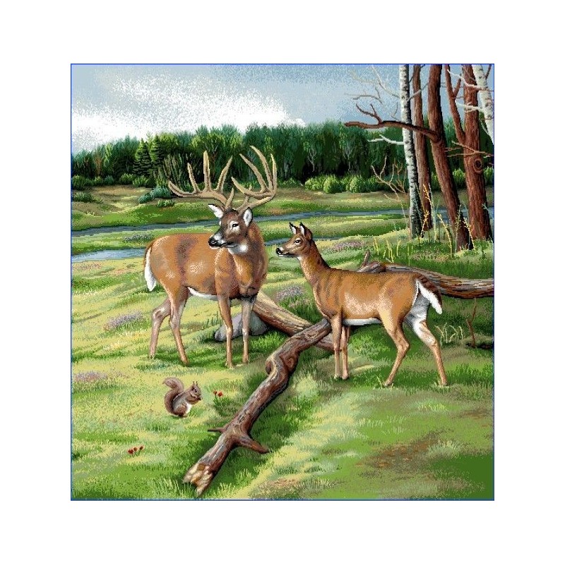Carré -Cerf et biche