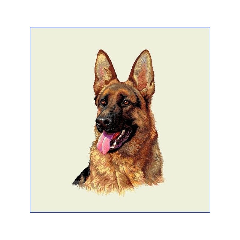 Carré-Tete berger allemand