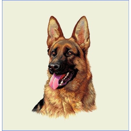 Carré-Tete berger allemand