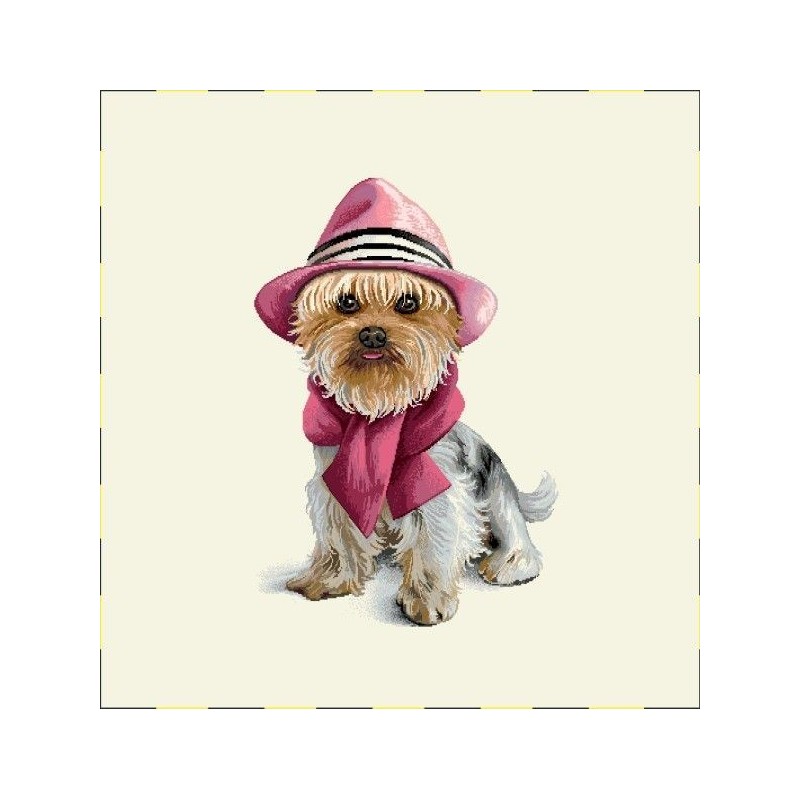 Carré-York chapeau écharpe