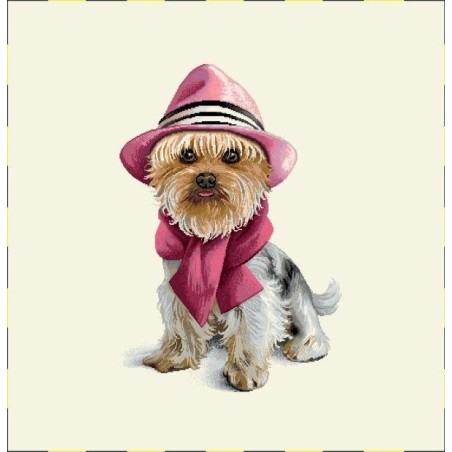 Carré-York chapeau écharpe