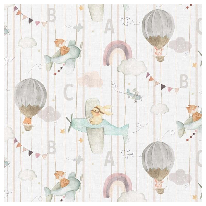 Coton 150 -Avions et montgolfiere