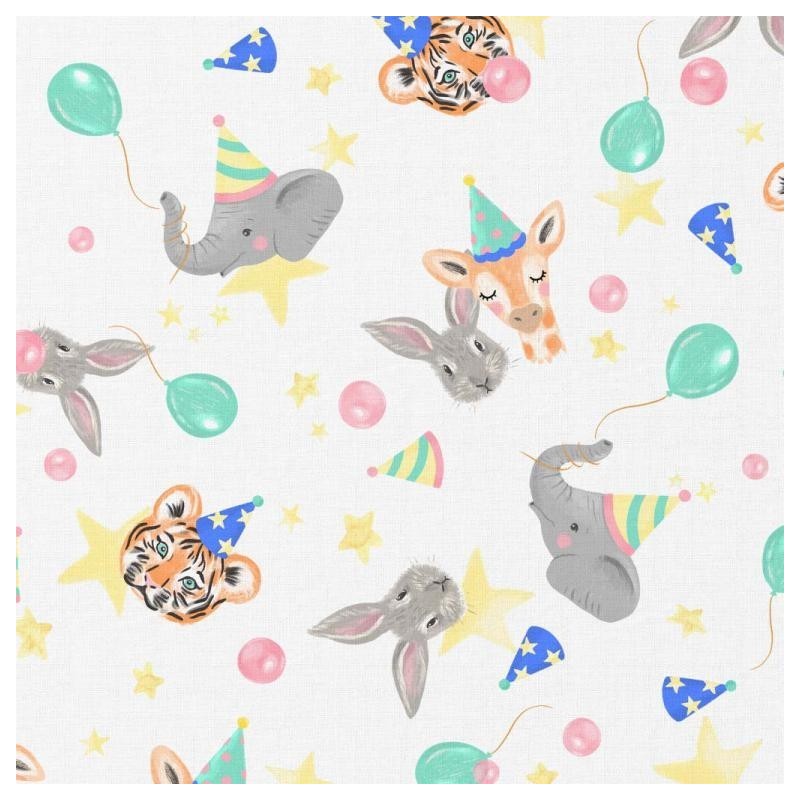 Coton 150 -Avions et montgolfiere