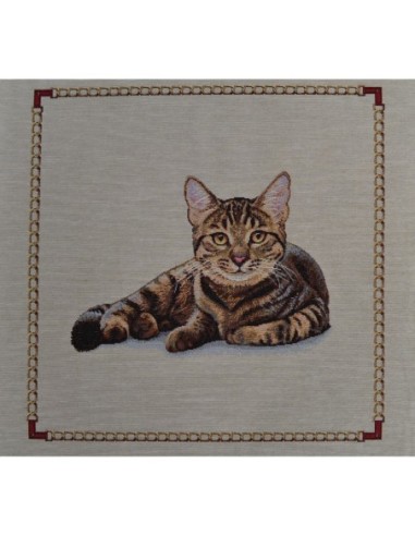 carré, jacquard, coussin, sac, ameublement, chat, animaux