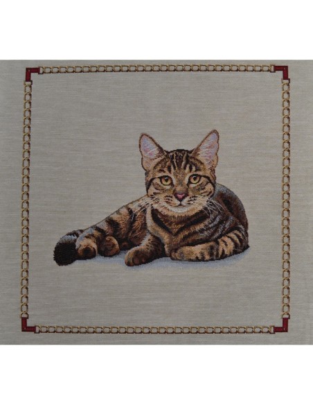 carré, jacquard, coussin, sac, ameublement, chat, animaux