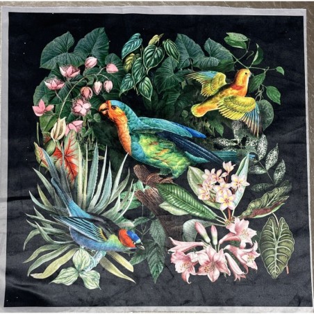Carré  velours- Perroquets