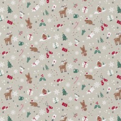 Casse noisette fond blanc