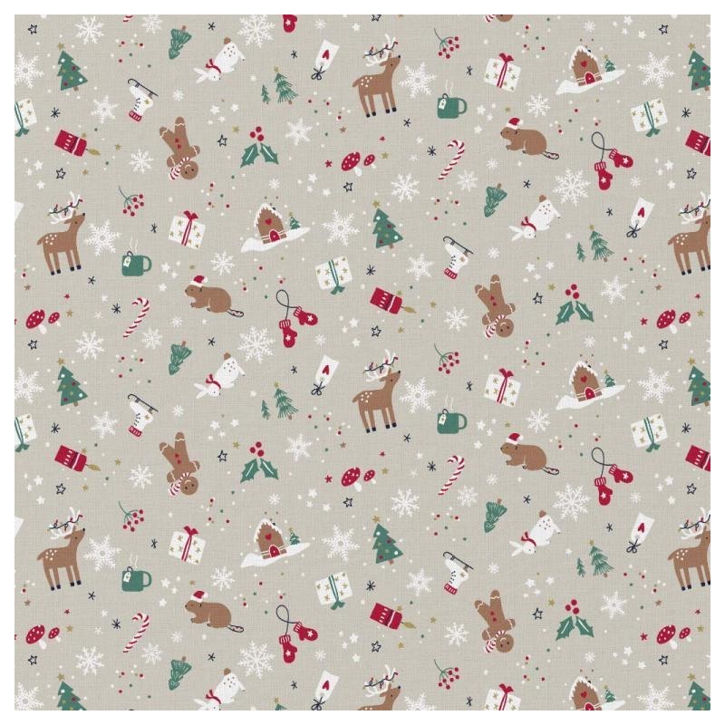 Casse noisette fond blanc