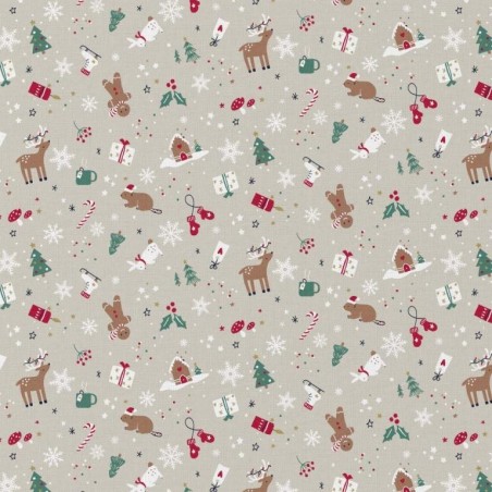 Casse noisette fond blanc