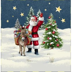Carré -Pere noel et l'ane
