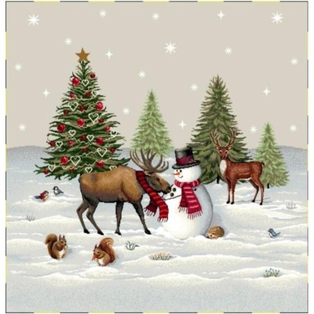 Carré -Cerl et le bonhomme de neige