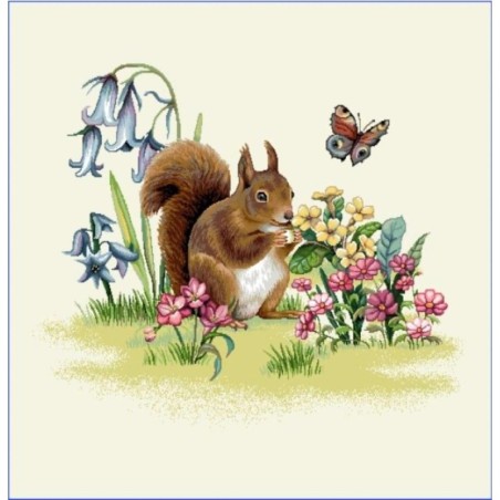 Carré -Ecureuil