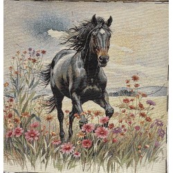 Carré - Cheval dans le champ