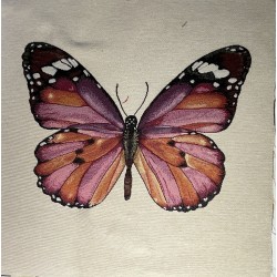 Carré -Papillon rose