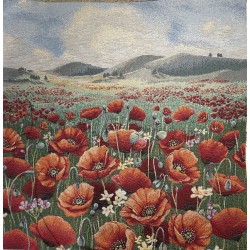 Carré -Champ de coquelicots