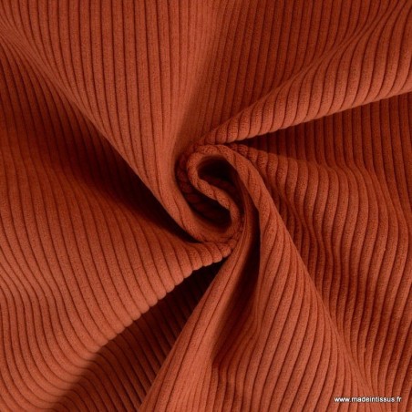 Coupon velours cottelé - Terracota