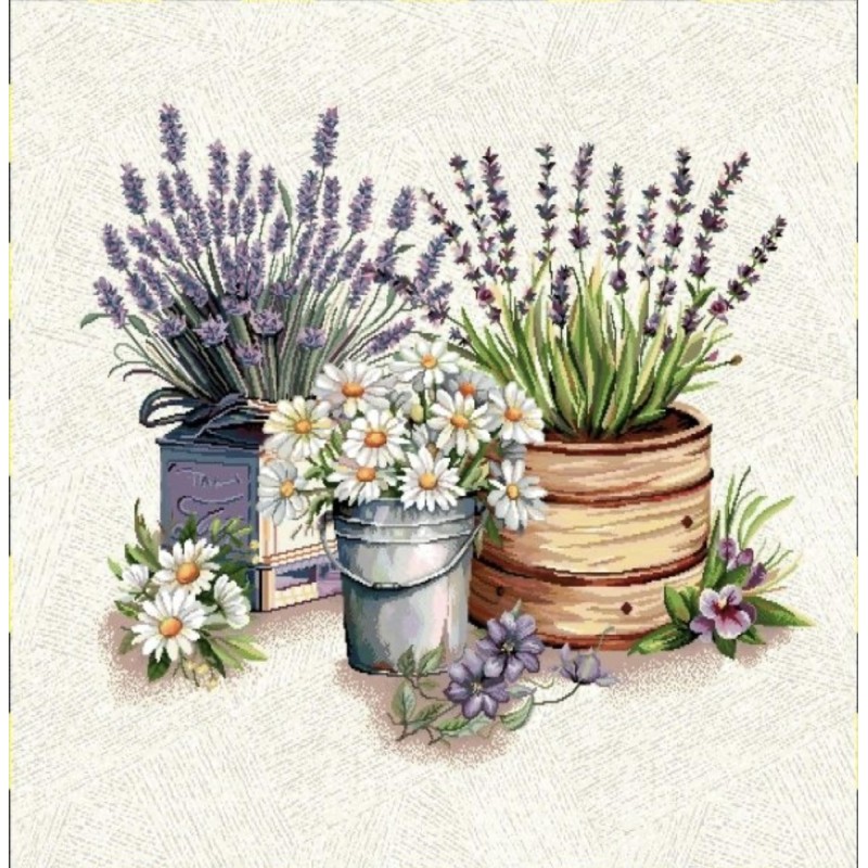 Carre-pot lavande et marguerite