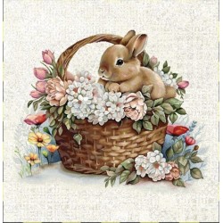 Carré - Lapin et le panier