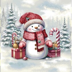 Carre-bonhomme de neige écharpe et bonnet