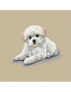 carré, jacquard, coussin, sac, animaux, chien, bichon