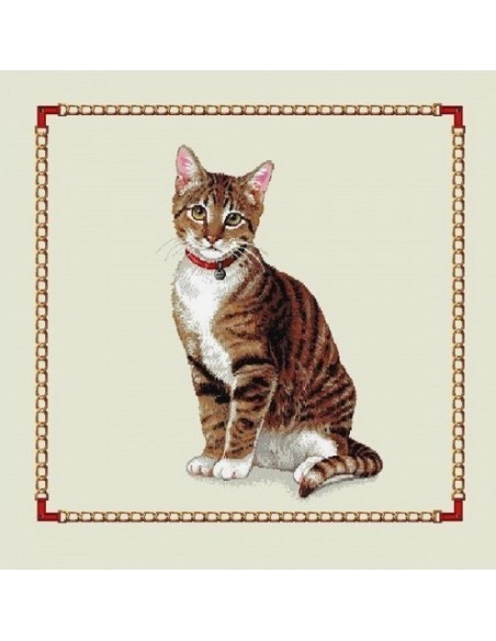 carré, jacquard, coussin, sac, animaux, chat