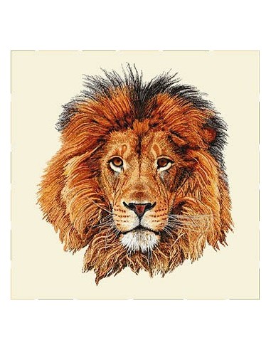 carré, jacquard, coussin, sac, animaux, lion, savane, afrique