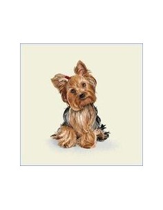 carré, jacquard, coussin, sac, animaux, chien, yorkshire