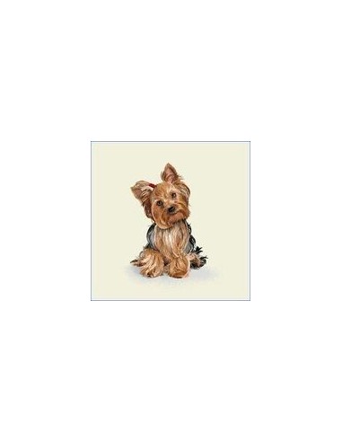 carré, jacquard, coussin, sac, animaux, chien, yorkshire