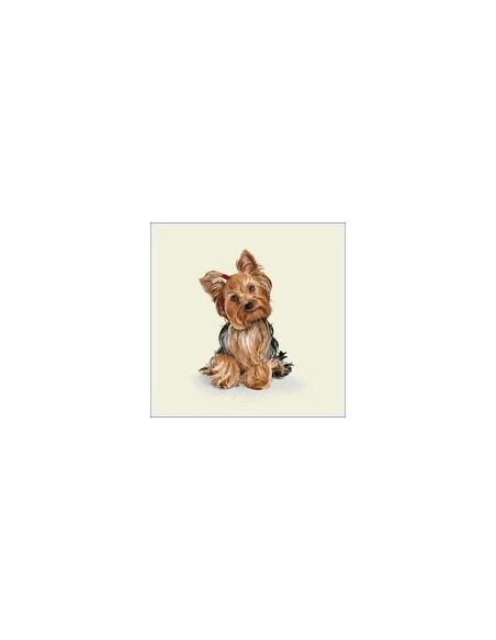 carré, jacquard, coussin, sac, animaux, chien, yorkshire