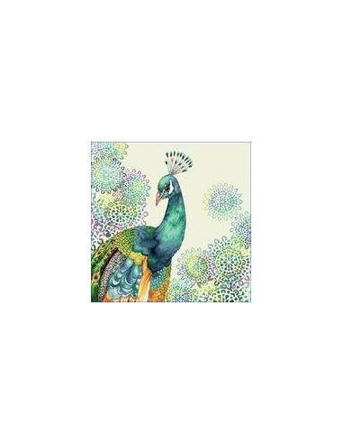 carré, jacquard, coussin, sac, animaux, oiseaux, paon