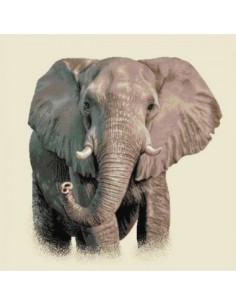 carré, jacquard, coussin, sac, animaux, éléphant, savane, afrique