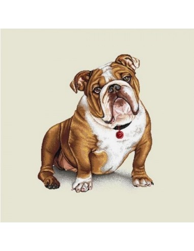 carré, jacquard, coussin, sac, animaux, chien, bouledogue anglais