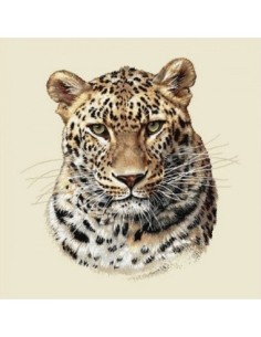 carré, jacquard, coussin, sac, animaux, léopard, jungle
