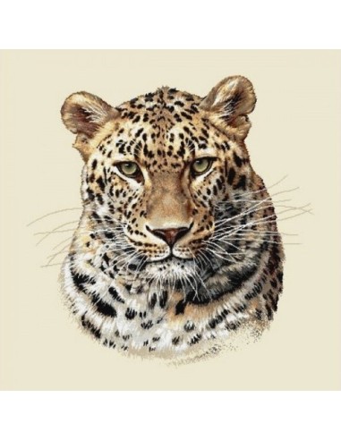 carré, jacquard, coussin, sac, animaux, léopard, jungle