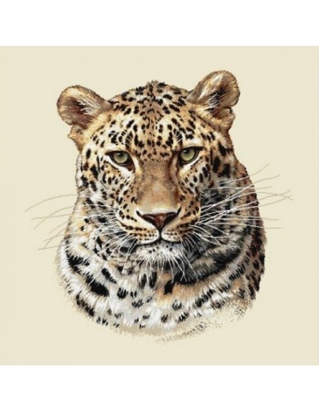 carré, jacquard, coussin, sac, animaux, léopard, jungle