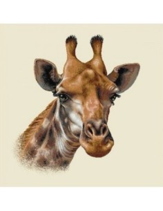 carré, jacquard, coussin, sac, animaux, girafe, savane, afrique