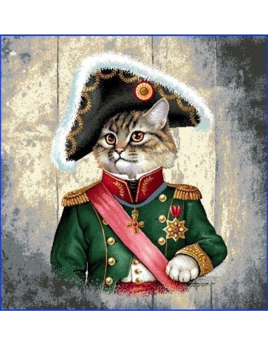 carré, jacquard, coussin, sac, animaux, chat militaire