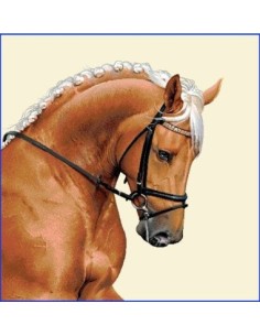 carré, jacquard, coussin, sac, animaux, cheval, palomino