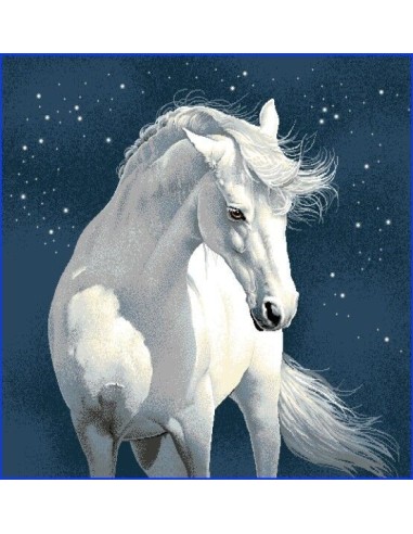 carré, jacquard, coussin, sac, animaux, cheval, nuit