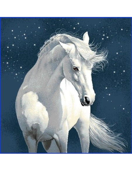 carré, jacquard, coussin, sac, animaux, cheval, nuit